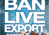 profile-pic-ban-live-exports-blue