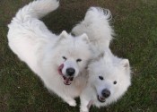 Saskia & Talia