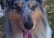 bailey