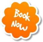 Book Now Book your cat sitting visits now!