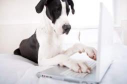 iStock_000013012147XSmall