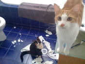 martha&rufus