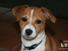 charlie