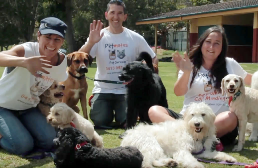 team The Petmates Team